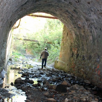 Ruisseau couvert de Rochessadoule amont à Robiac-Rochessadoule